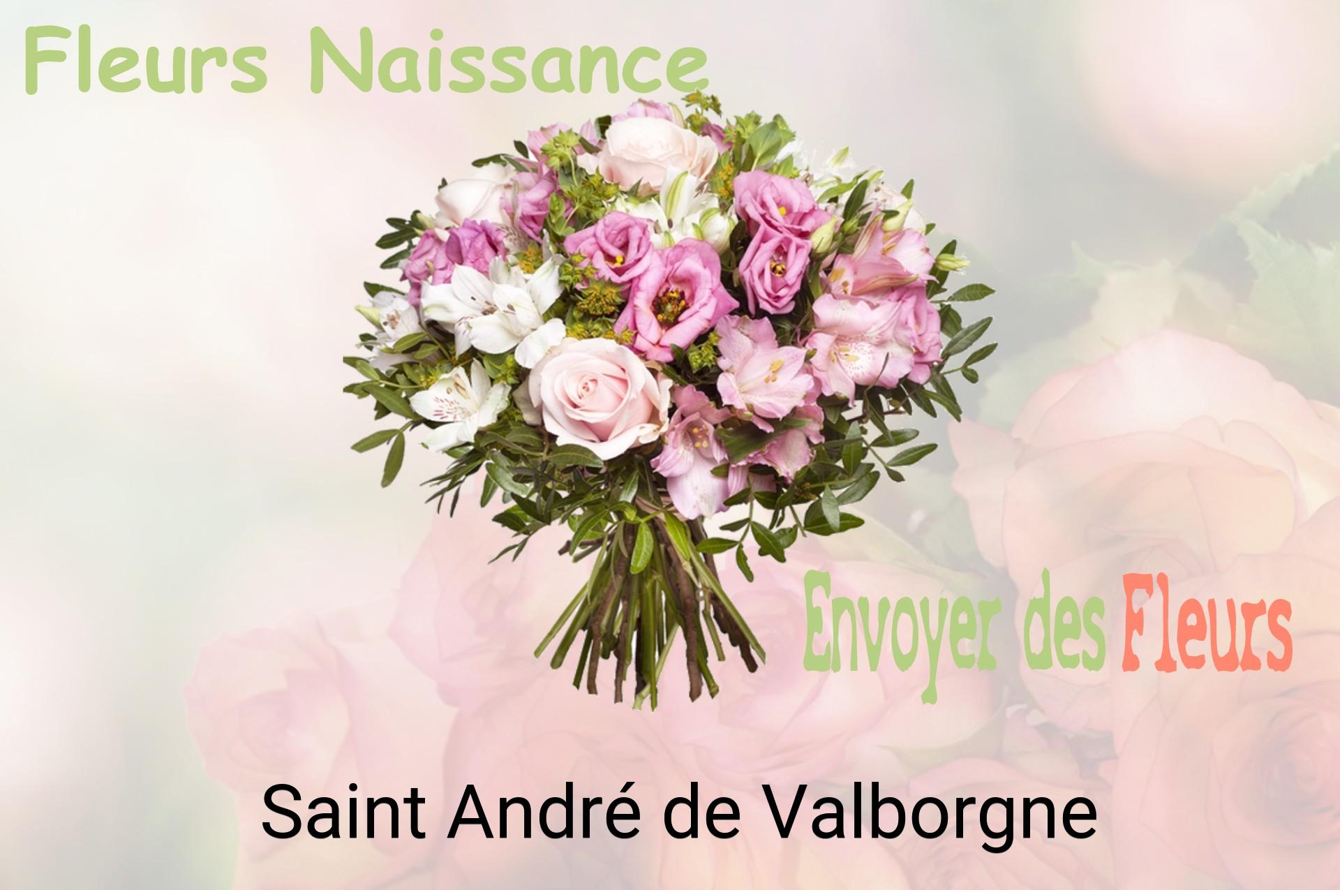 Bouquet de fleurs de naissance livré à Saint-André-de-Valborgne